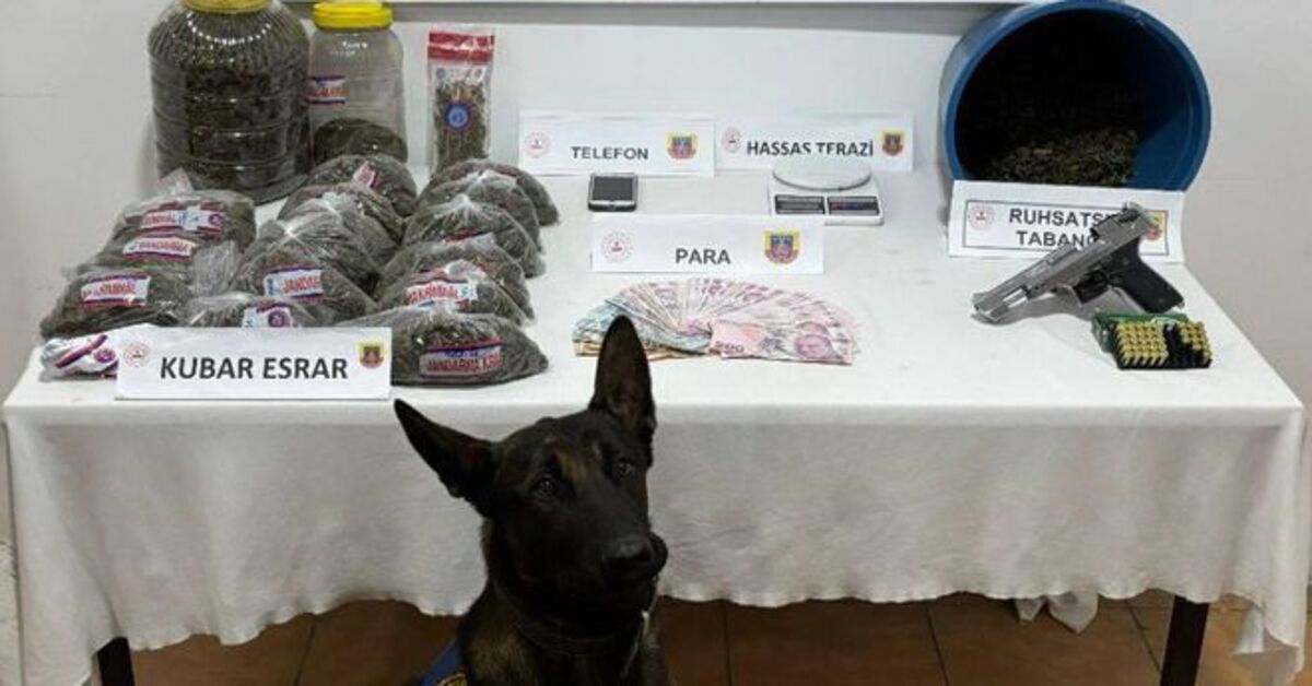 Düzce’de evinde 3 kilo 425 gram esrar ele geçirilen şüpheli tutuklandı