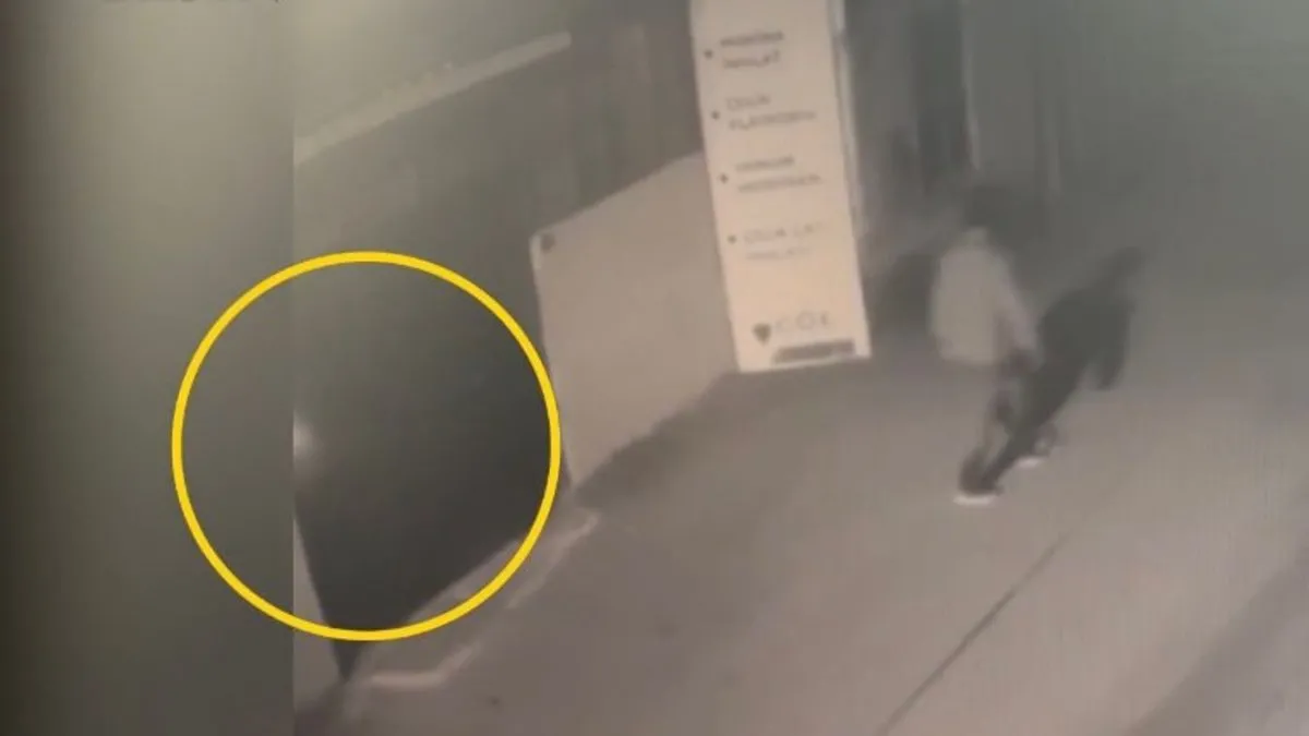 Pendik’te Türk bayrağını yakmıştı: Şüpheliye 3 yıl hapis talebi