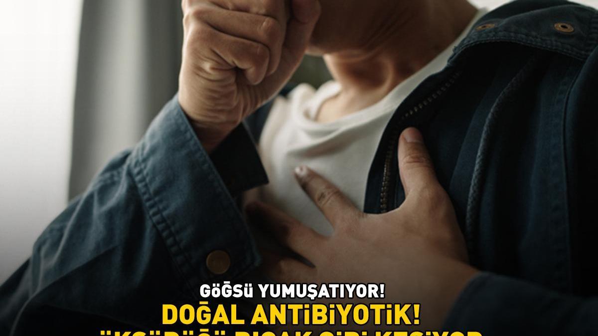 DOĞAL ANTİBİYOTİK! 1 hafta kullanmak yetiyor: ‘Öksürüğü bıçak gibi kesiyor, ciğerdeki balgamı söküp atıyor!’